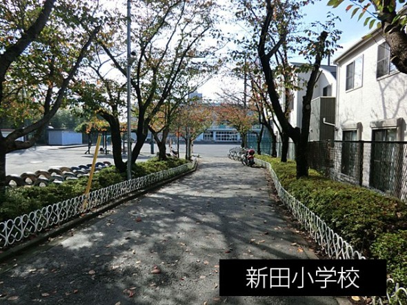 小学校 850m 新田小学校
