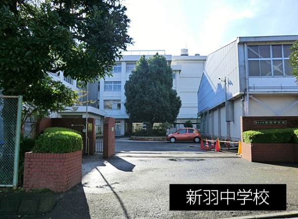 中学校 2000m 新羽中学校