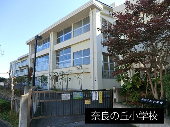 小学校 300m 奈良の丘小学校