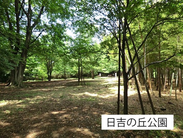 公園 600m 日吉の丘公園