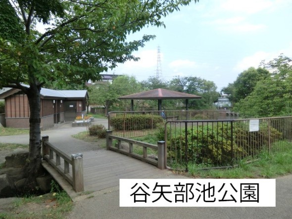 公園 800m 谷矢部池公園