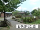 公園 800m 谷矢部池公園