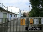 中学校 700m 都岡中学校