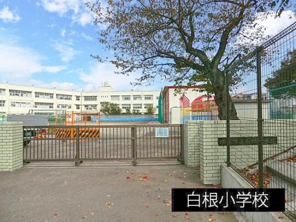小学校 600m 白根小学校
