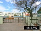 小学校 600m 白根小学校