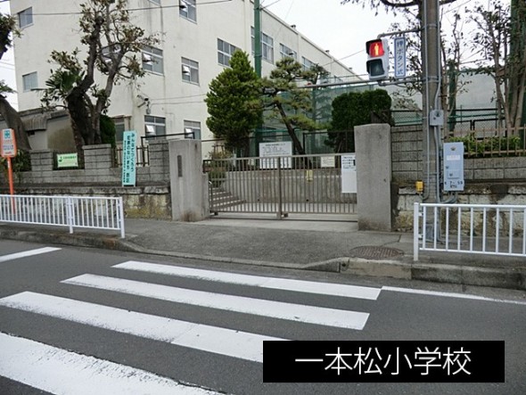小学校 600m 一本松小学校