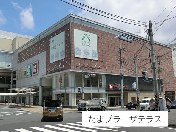 ショッピングセンター 550m たまプラーザ テラス