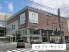 ショッピングセンター 550m たまプラーザ テラス