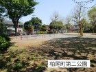 公園 350m 柏尾町第二公園
