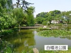 公園 400m 白幡池公園