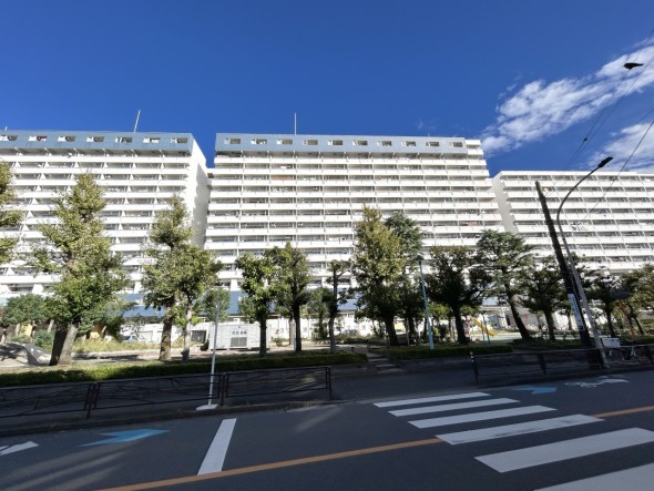 爽やかな青空の下に贅沢なほどに降り注ぐ陽光、豊かな居住性と、クオリティが見事に調和した住空間は、住まうことの喜びを感じさせてくれ