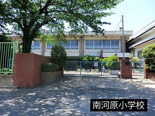 小学校 230m 南河原小学校