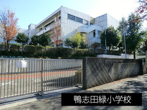 小学校 450m 鴨志田緑小学校