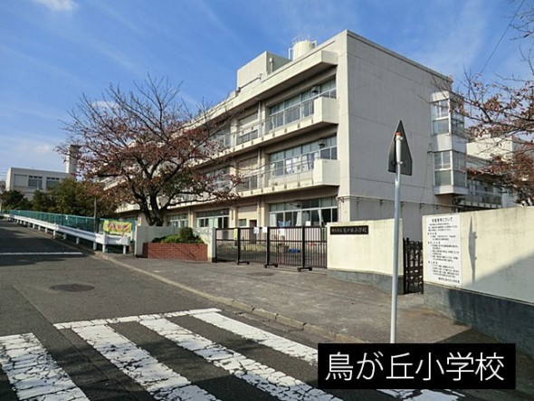小学校 1230m 鳥が丘小学校
