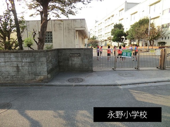 小学校 500m 永野小学校