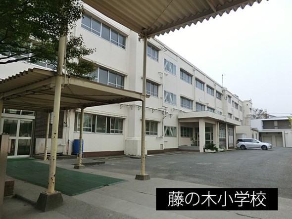 小学校 550m 藤の木小学校