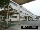 小学校 550m 藤の木小学校