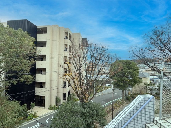 現地からの眺望。