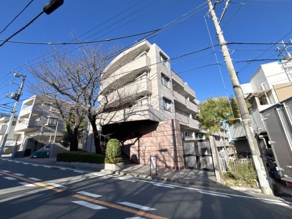 ここに住むからこそ意味がある。そんな特別感に浸りながら、毎日をお過ごしして欲しいです 。