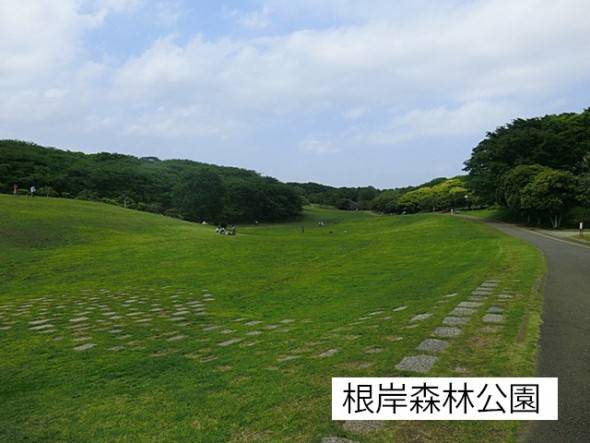 公園 600m 根岸森林公園