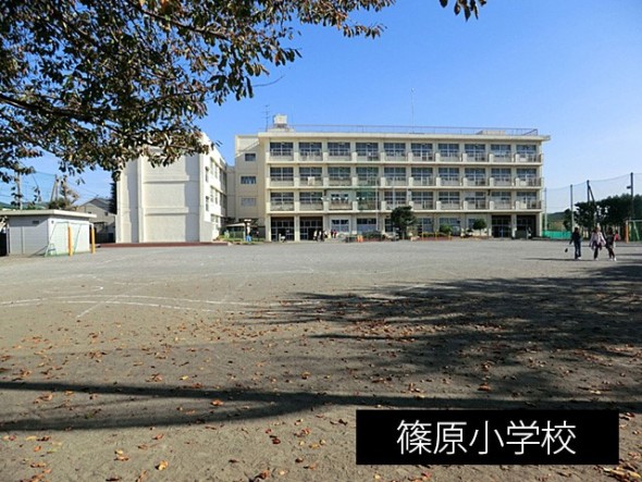 小学校 300m 篠原小学校