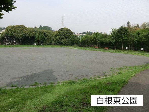 公園 800m 白根東公園