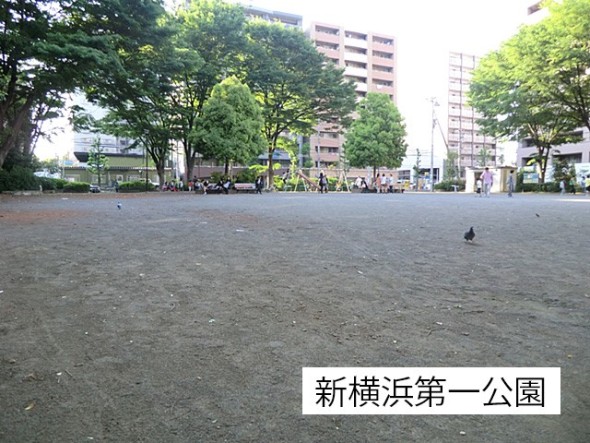 公園 500m 新横浜第一公園