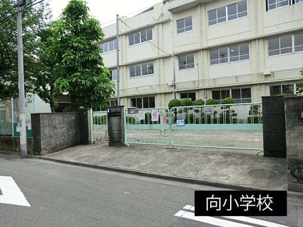 小学校 150m 向小学校