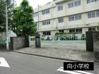 小学校 150m 向小学校