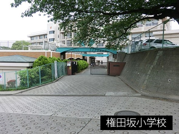 小学校 550m 権太坂小学校