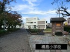 小学校 550m 綱島小学校