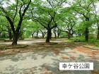 公園 350m 幸ヶ谷公園