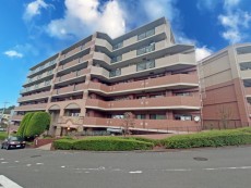 緑多い利便性あるマンションです。解放感や子育て環境良好です。