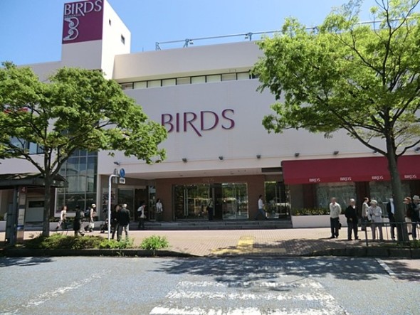 スーパー 600m 港南台バーズ